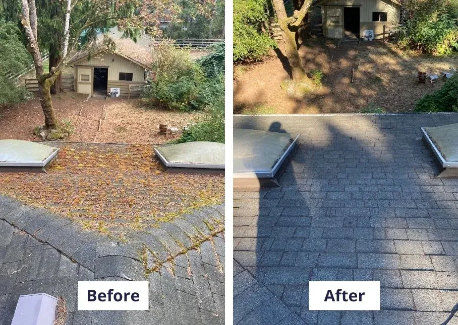 A before and after pair of the same roof, photographed from the same position