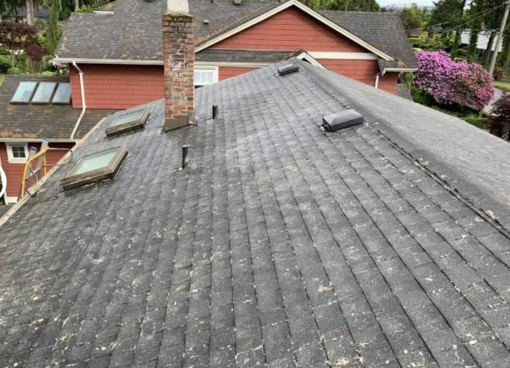 A cleared shingle roof with skylights and a brick chimney, neighbouring roofs behind