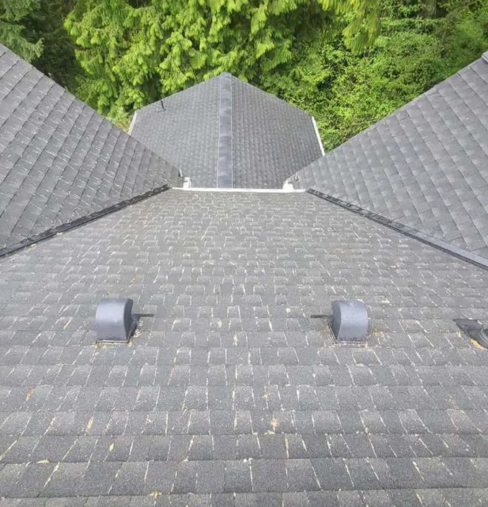 After: the same shingle roof from the same spot, courses and valleys cleared