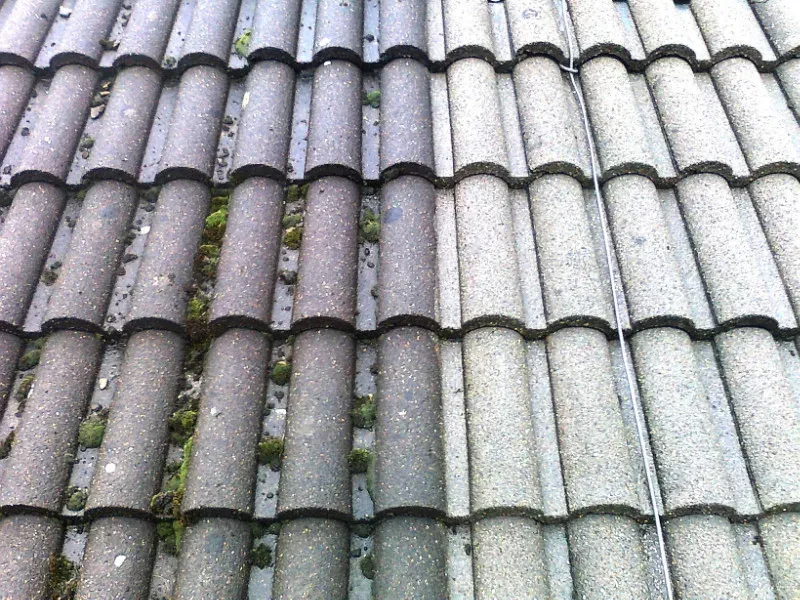 A concrete tile roof half cleared: growth in the pans on one side, clean tile on the other